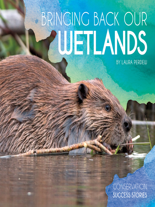 Title details for Bringing Back Our Wetlands by Laura Perdew - Available